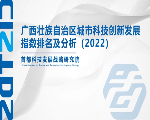 操屄屄视频在线观看【成果发布】广西壮族自治区城市科技创新发展指数排名及分析（2022）